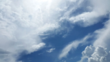 Your Immune System – Cloud Based or Fact?