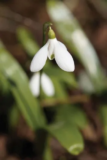 February 2018 – Preparing for Spring