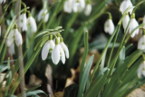 Wild Wonders – February 2026