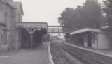 Cranleigh Rail Revival