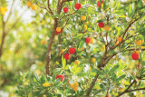 Wild Wonders – April 2023