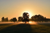 New Beginnings – Sue Potgieter
