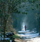 A Winter Walk in Cranleigh