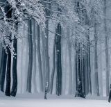 December  – Temperatures Drop – The Cold Kicks in