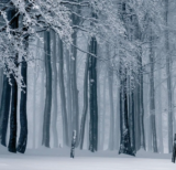 December  – Temperatures Drop – The Cold Kicks in