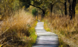 Breathing or Exercise? Confused? Do read on . . .